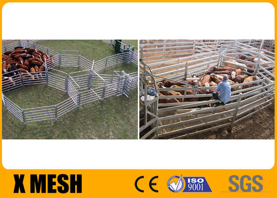 2 &quot;okrągłe rury metalowe panele ogrodzeniowe dla koni ocynkowane wykończenie 6 szyn o wysokości 50 cali