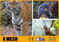 Standardowa siatka kablowa ASTM 60 stopni X Tend Zoo Enclosure Mesh