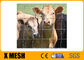 Powlekane PCV metalowe ogrodzenie farmy 1400 Mpa Panele ogrodzeniowe dla bydła